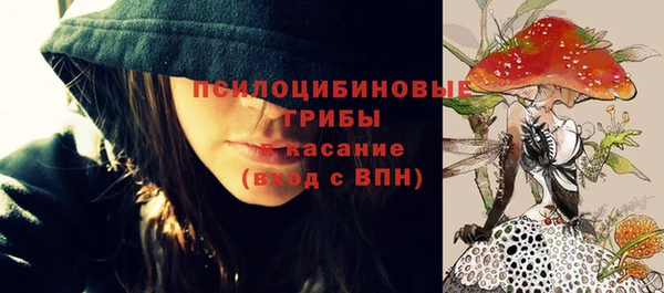 PSILOCYBIN Нефтекумск