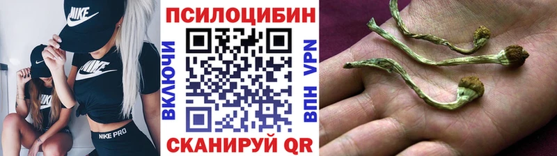 Псилоцибиновые грибы GOLDEN TEACHER  МЕГА ссылка  Строитель 